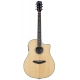 BREEDLOVE STAGE DREADNOUGHT CE