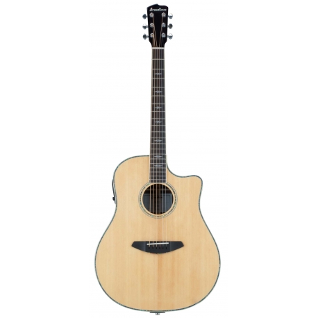 BREEDLOVE STAGE DREADNOUGHT CE