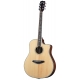 BREEDLOVE STAGE DREADNOUGHT CE
