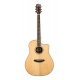 BREEDLOVE STAGE DREADNOUGHT CE EPICEA