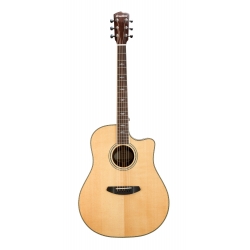 BREEDLOVE STAGE DREADNOUGHT CE EPICEA