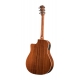 BREEDLOVE STAGE DREADNOUGHT CE EPICEA