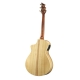 BREEDLOVE STAGE EXOTIC CONCERT CE