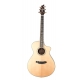 BREEDLOVE STAGE EXOTIC CONCERT CE