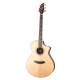 BREEDLOVE STAGE EXOTIC CONCERT CE