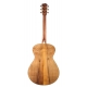 BREEDLOVE STAGE EXOTIC CONCERTO E