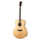 BREEDLOVE STAGE EXOTIC CONCERTO E