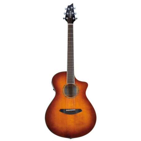 BREEDLOVE STUDIO CONCERT,CW FISHMAN