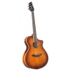 BREEDLOVE STUDIO CONCERT,CW FISHMAN