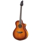 BREEDLOVE STUDIO CONCERT,CW FISHMAN