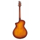 BREEDLOVE STUDIO CONCERT,CW FISHMAN