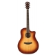 BREEDLOVE STUDIO WESTERN, CW FISHMAN