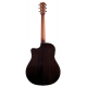 BREEDLOVE STUDIO WESTERN, CW FISHMAN