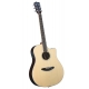 BREEDLOVE STUDIO WESTERN, CW FISHMAN