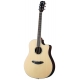 BREEDLOVE STUDIO WESTERN, CW FISHMAN