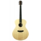 BREEDLOVE USA CONCERTO SUN LIGHT LRBAGS